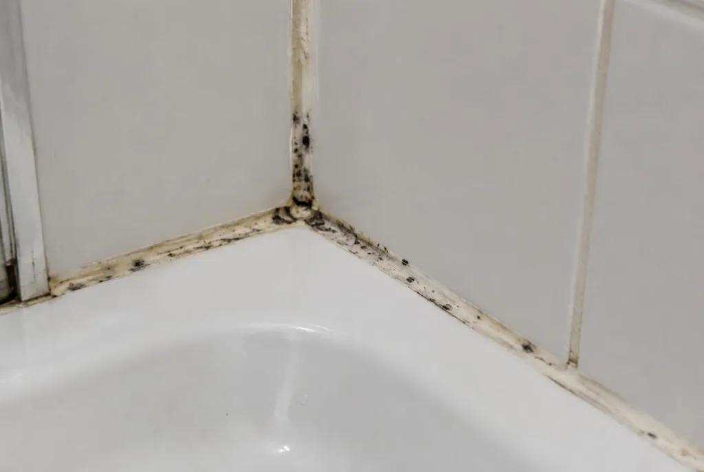 Kitbedrijf Monnickendam – beschimmelde kitranden